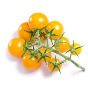 Semenarna Semen Koktajl Paradižniki ChickF1