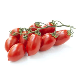 Semenarna Semen Koktajl Paradižniki NIcoleta F1