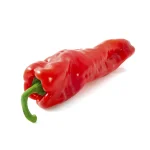 Semenarna Semen Dulce Italiano Paprika Crunch F1