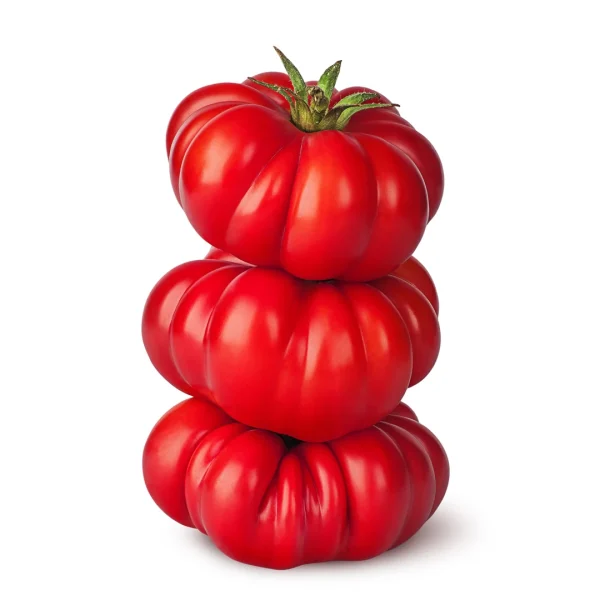 Semenarna Semen Hierloom Marmande Paradižnik BigBoss F1