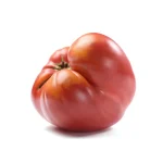 Semenarna Semen Rose Pink Paradižniki PinkRock F1