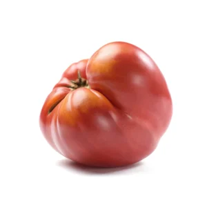 Semenarna Semen Rose Pink Paradižniki PinkRock F1