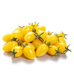 Semenarna Semen Koktajl Paradižnik Zitronina F1