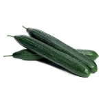 Semenarna Semen Solatne Kumare Golia F1